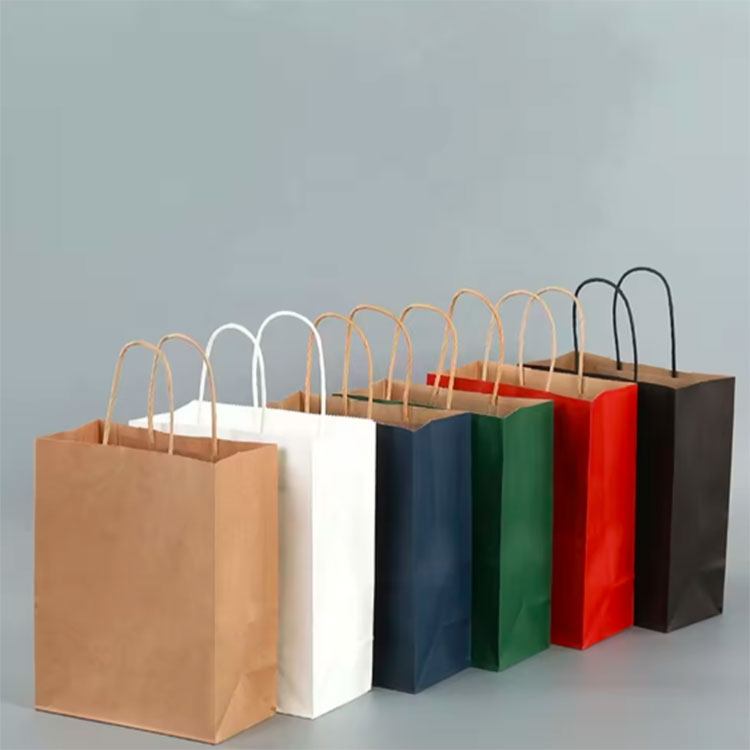 Printed Shopping Gift Paper Bag