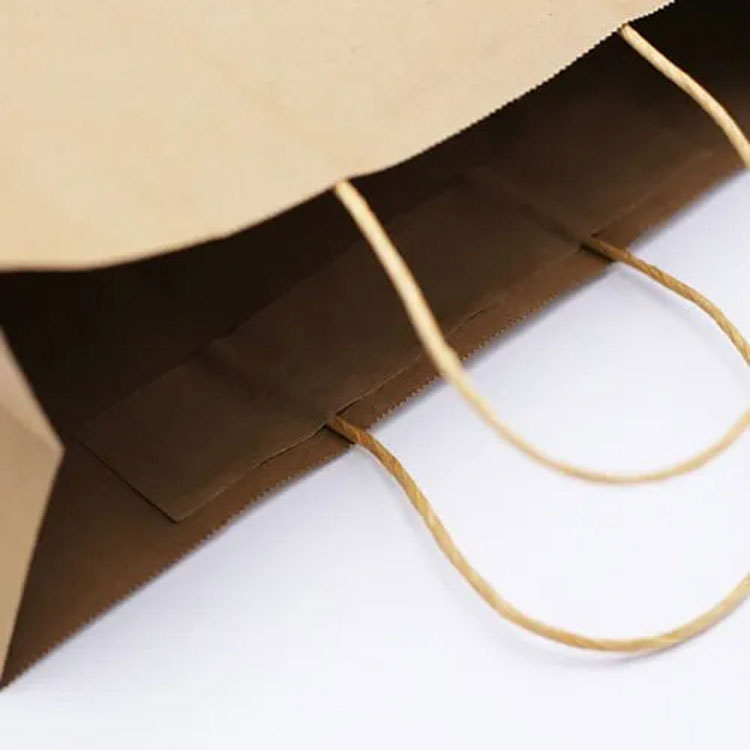 Kraft Paper Bag with Twisted Paper Handle