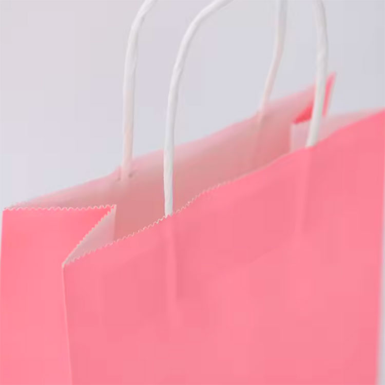 Handle Boutique Shopping Packaging Paper Bags