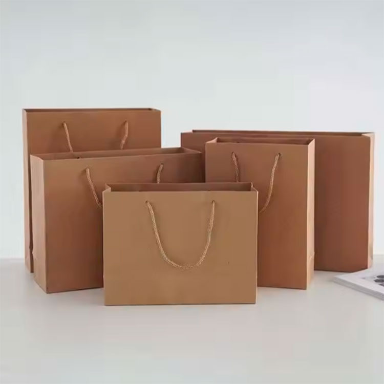 Luxury Printed Shopping Paper Bag