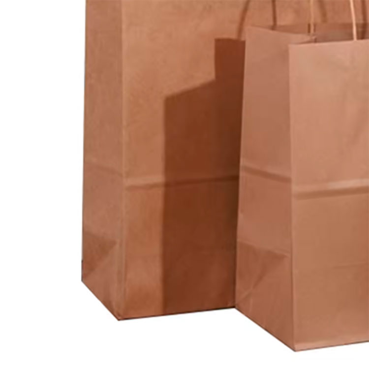 Paper Bag with Paper Handle