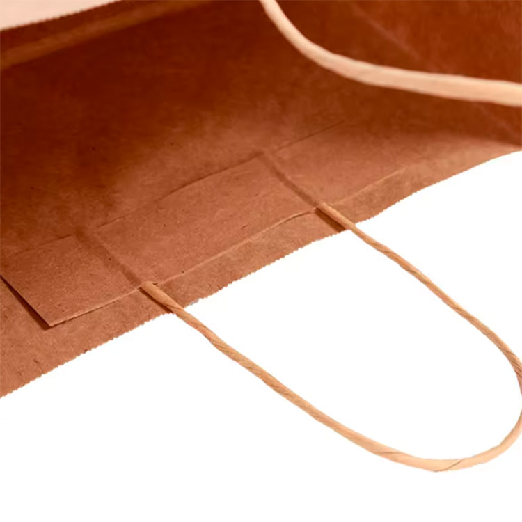 Paper Bag with Paper Handle