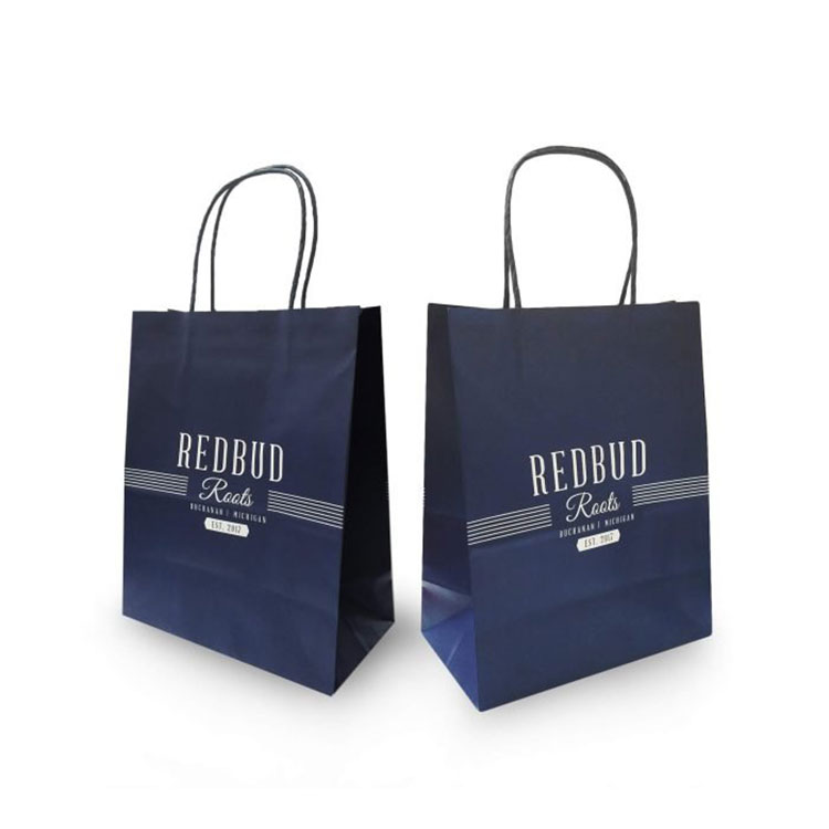Custom Printed Paper Bags with Logo