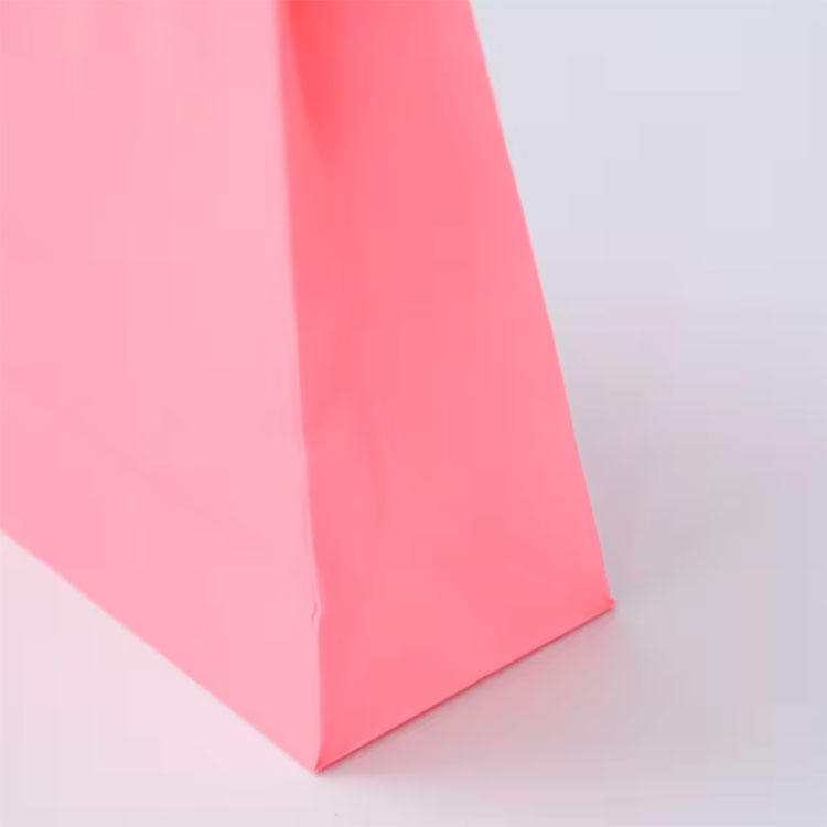 Handle Boutique Shopping Packaging Paper Bags