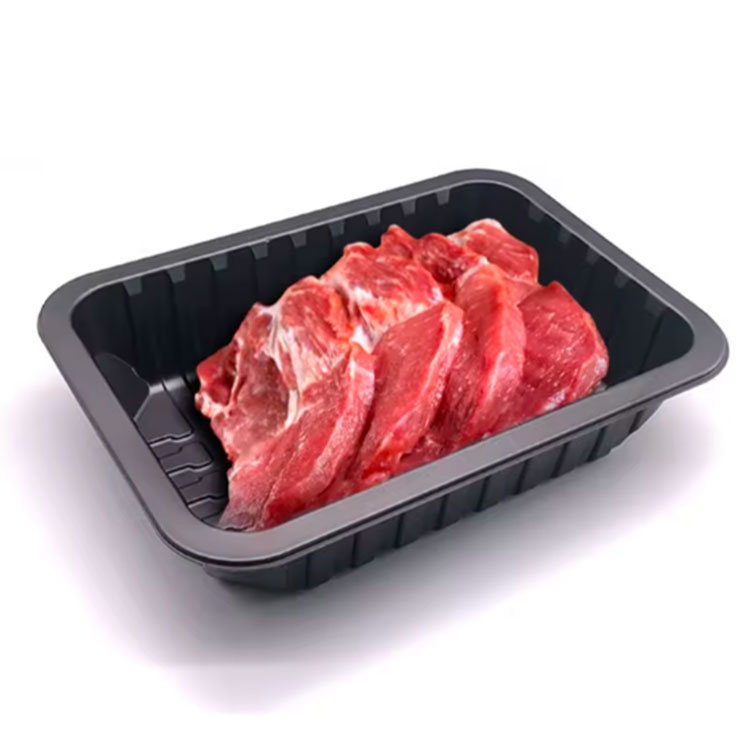 Disposable Food Packaging Trays