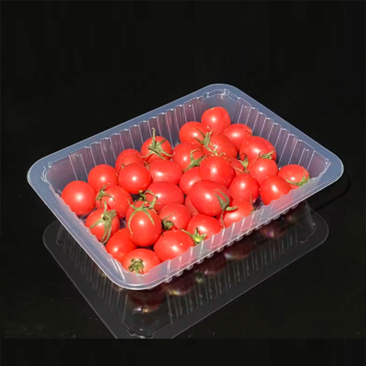 Disposable Food Packaging Trays