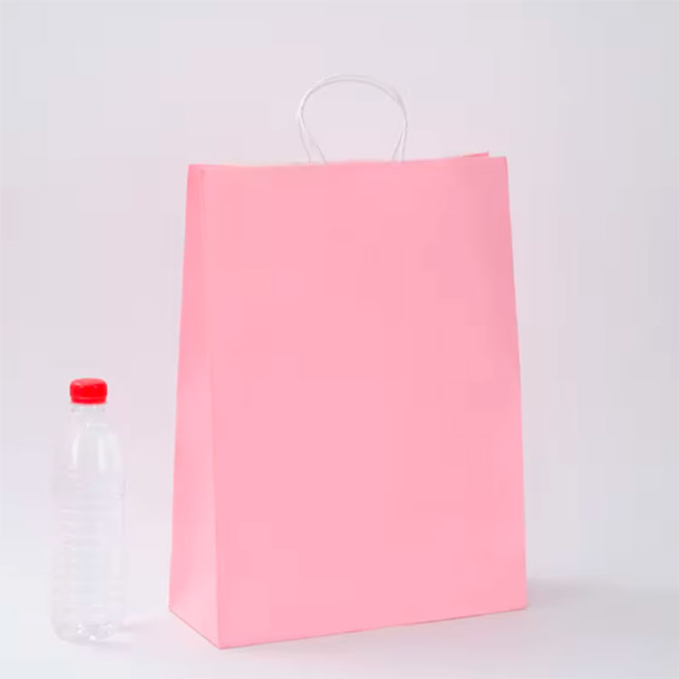 Handle Boutique Shopping Packaging Paper Bags