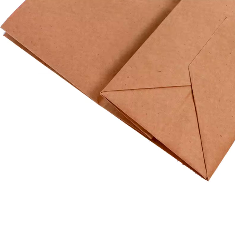 Paper Bag with Paper Handle