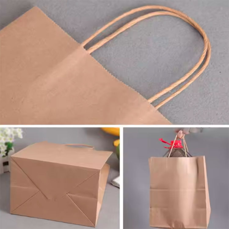 Printed Shopping Gift Paper Bag