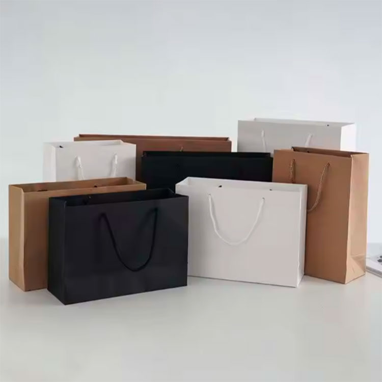 Luxury Printed Shopping Paper Bag