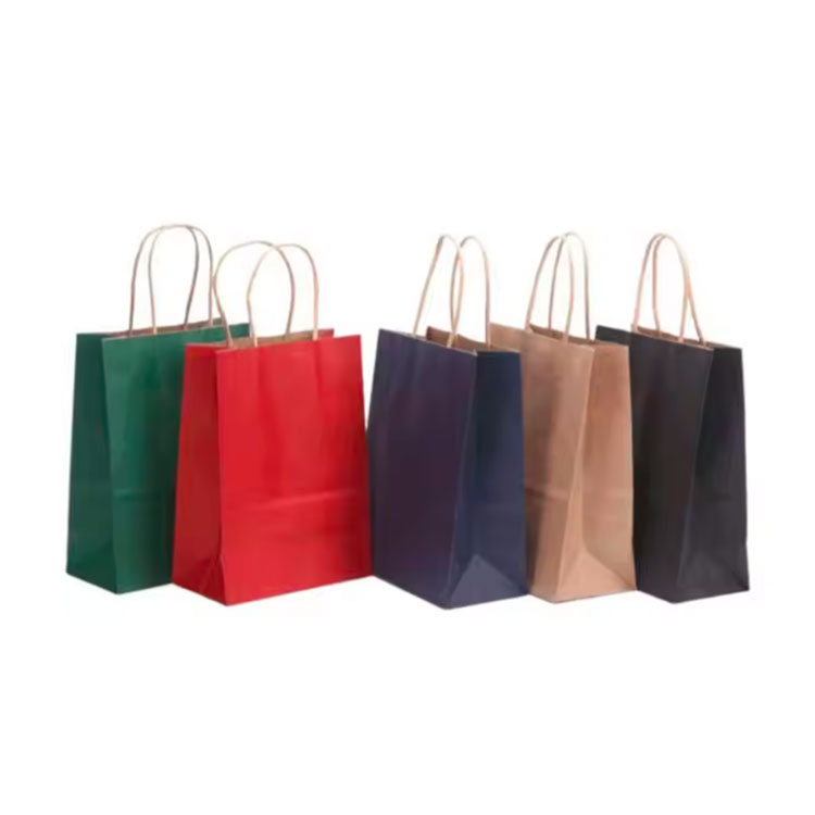 Printed Shopping Gift Paper Bag